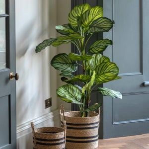 Cedar & Sage Artificial Medium Calathea Leaf Tree In Black Plant Pot