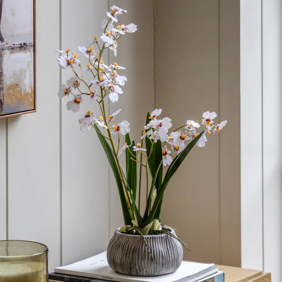 Flowers and plants