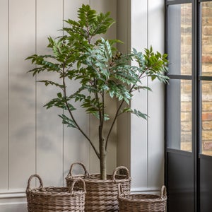 Cedar & Sage Artificial Medium Chinese White Olive Tree In Black Plant Pot