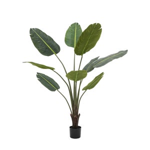 Cedar & Sage Artificial Medium Travellers Palm Tree In Black Plant Pot