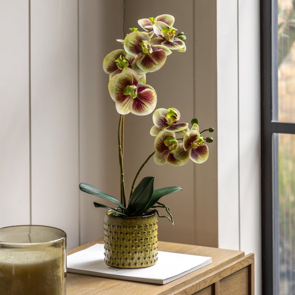Cedar & Sage Artificial Multicolour Orchid In Ceramic Pot