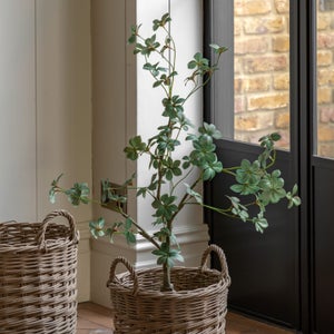 Cedar & Sage Artificial Small Rhodoleia Tree In Black Plant Pot