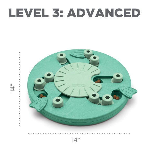 Carousel navigation image position 4 of 6