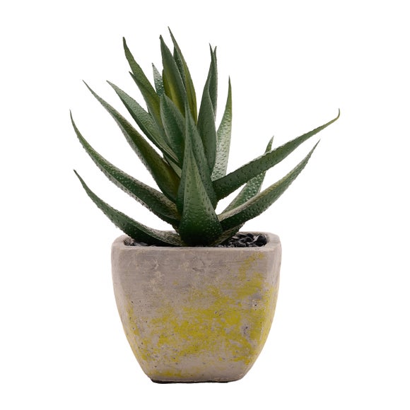 Country Living Artificial Succulent In Grey Plant Pot