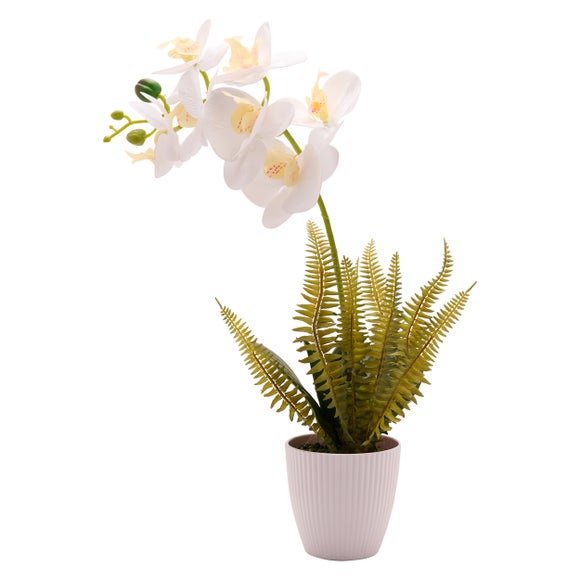 Country Living Large Artificial White Orchid In Ribbed Plant Pot