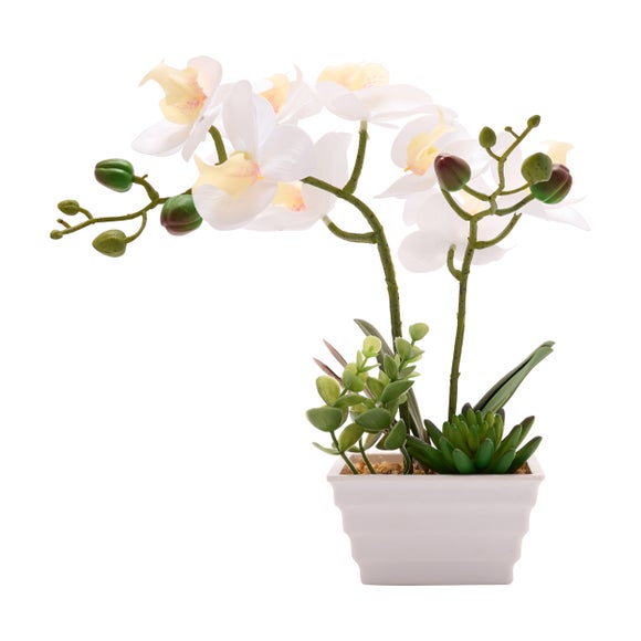Country Living Artificial White Orchid In Ridged Square Plant Pot