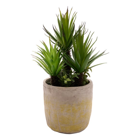 Country Living Artificial Madagascar Palm Succulents In Grey Plant Pot