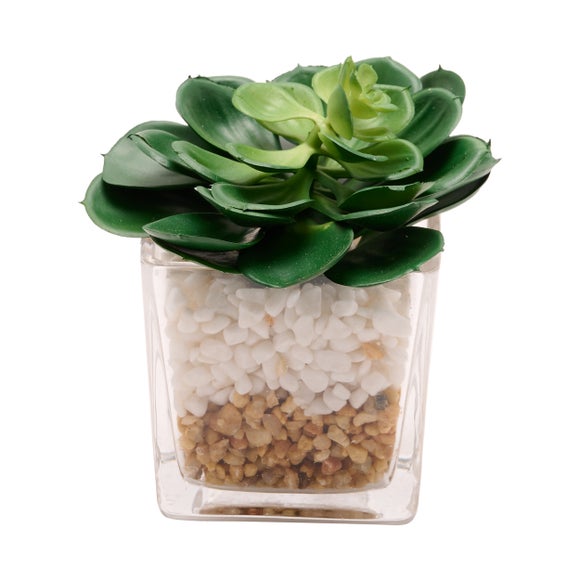 Country Living Artificial Succulents In Square Glass Plant Pot