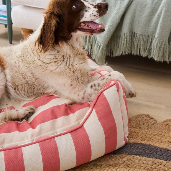 Carousel navigation image position 2 of 6