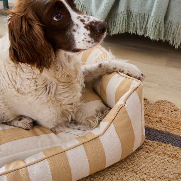 Carousel navigation image position 2 of 5