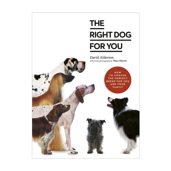 View The Right Dog For You Book View The Right Dog For You Book