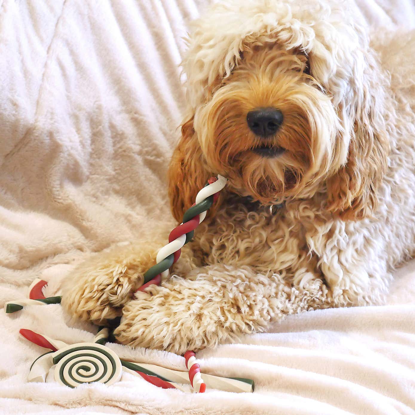 Carousel zoom image position 3 of 3