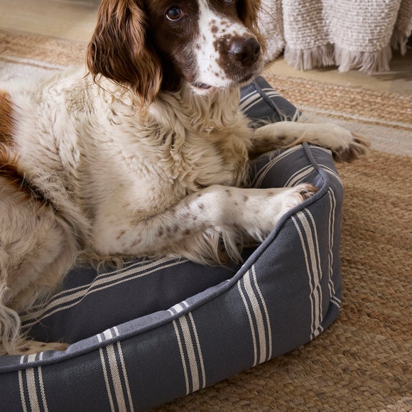 Carousel navigation image position 2 of 5