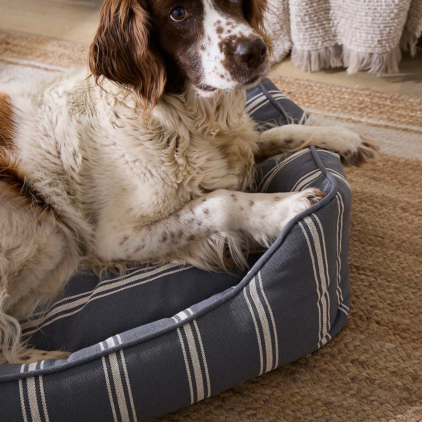 Carousel zoom image position 2 of 5