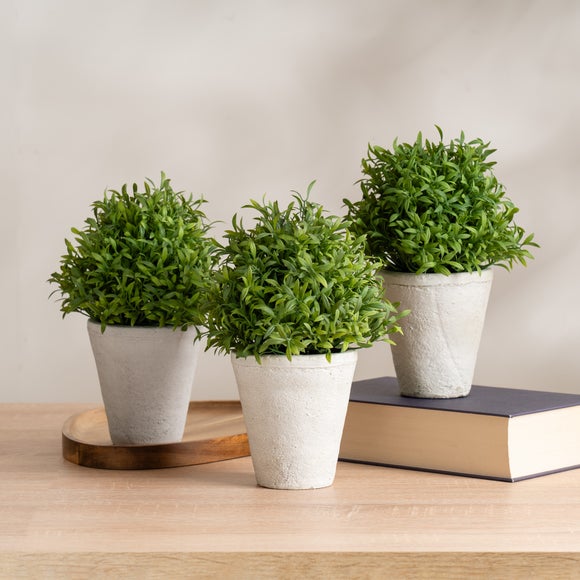 Click to view product details and reviews for Set Of 3 Artificial Topiary Plants In Cement Plant Pots.