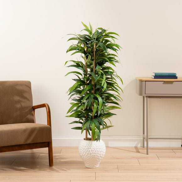 Click to view product details and reviews for Artificial Bamboo Tree In Dimpled Ceramic Plant Pot. Click to view product details and reviews for Artificial Bamboo Tree In Dimpled Ceramic Plant Pot.