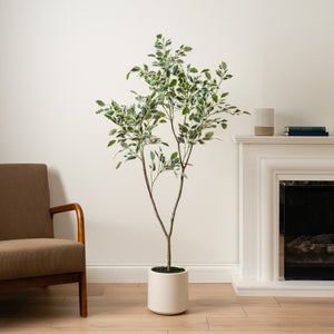 Artificial Ficus Tree In Cream Plant Pot