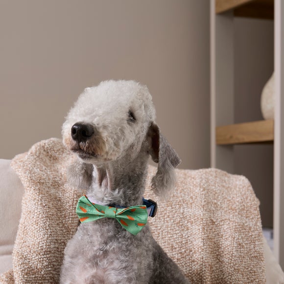 Easter Carrot Pet Bow Tie