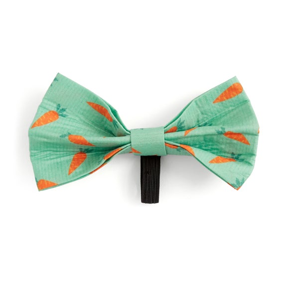 Carousel navigation image position 3 of 3