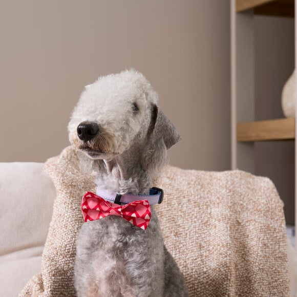 Valentines Pet Bow Tie