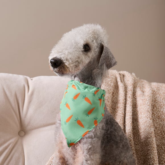 Easter Carrot Pet Bandanna