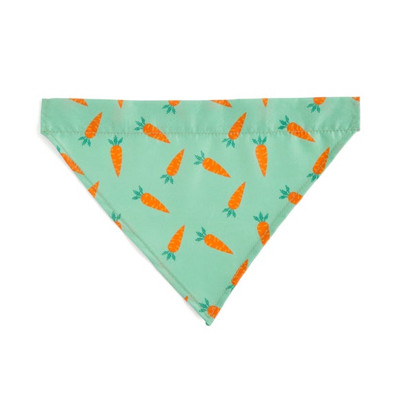 Carousel navigation image position 3 of 3