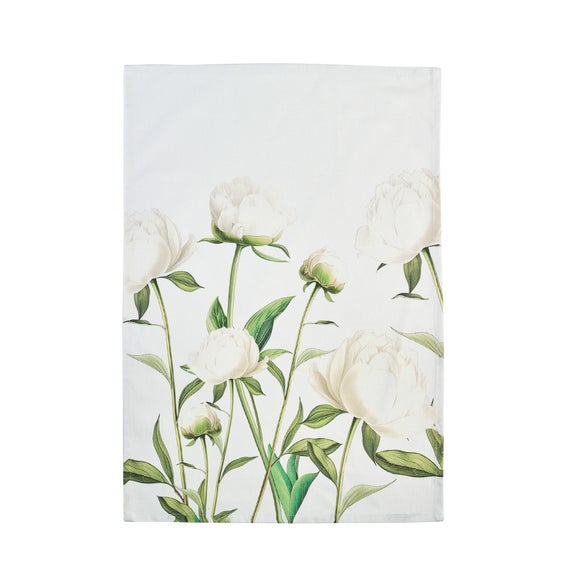 Carousel navigation image position 2 of 4