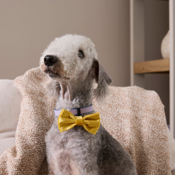 Easter Velvet Pet Bow Tie