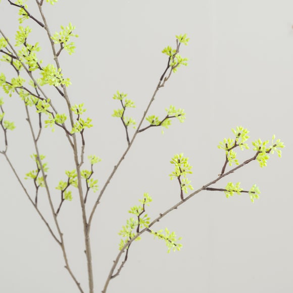 Carousel navigation image position 4 of 5