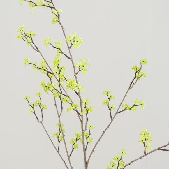 Carousel navigation image position 5 of 5