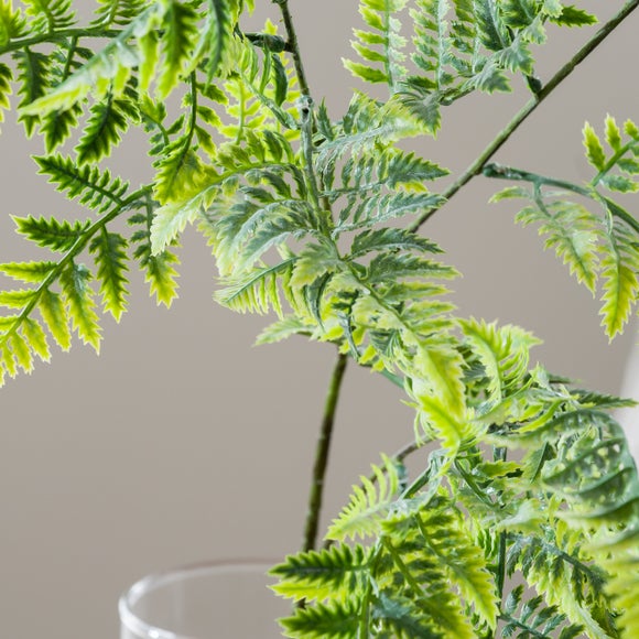 Carousel navigation image position 4 of 5