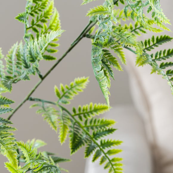 Carousel navigation image position 5 of 5