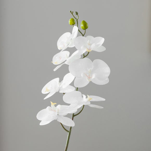 Carousel navigation image position 2 of 4