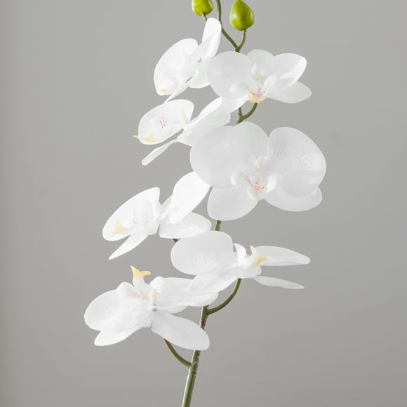 Carousel navigation image position 3 of 4