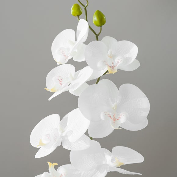 Carousel navigation image position 4 of 4