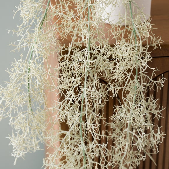 Carousel navigation image position 4 of 4