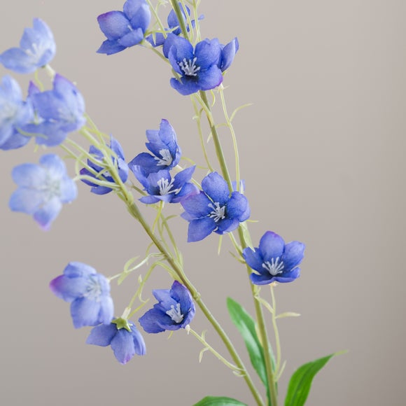 Carousel navigation image position 5 of 6