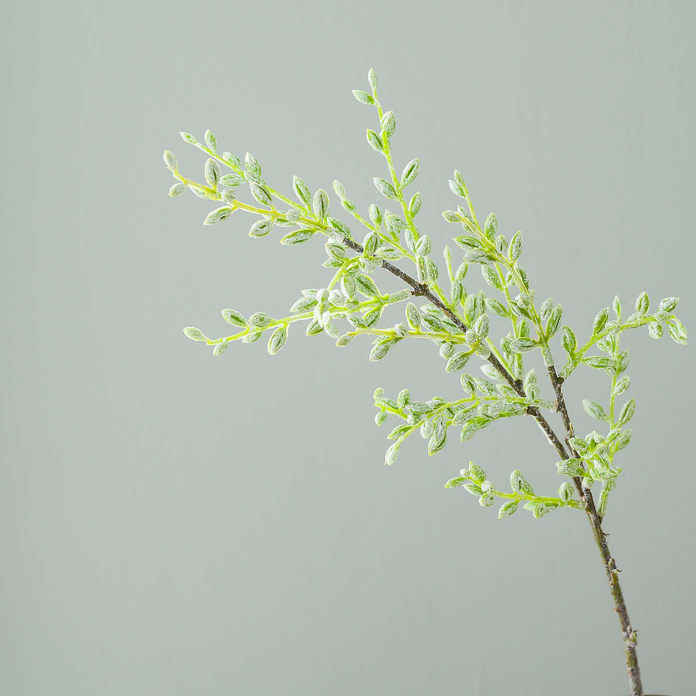 Carousel zoom image position 3 of 4