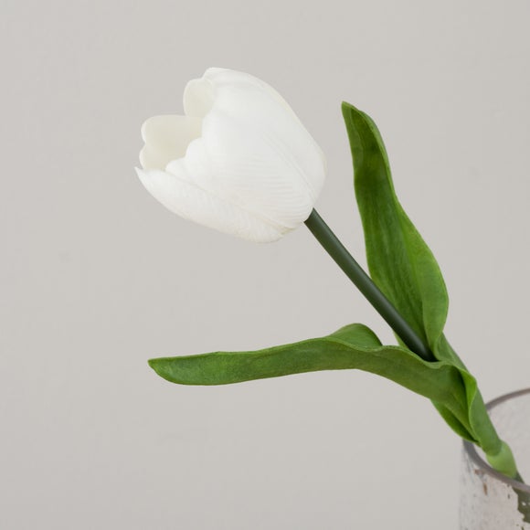 Carousel navigation image position 5 of 5