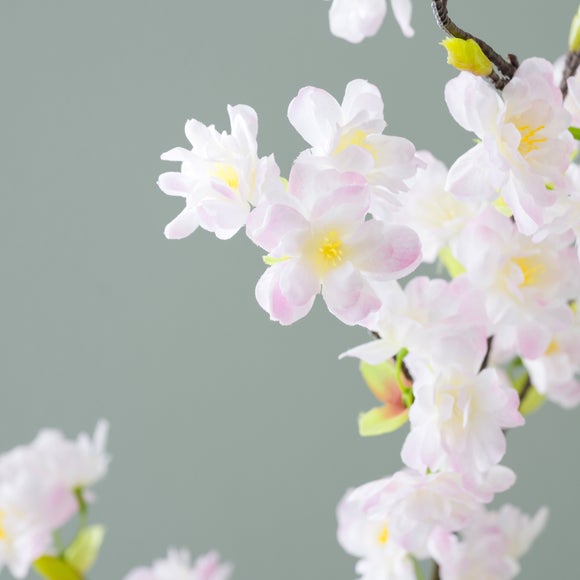 Carousel navigation image position 3 of 6