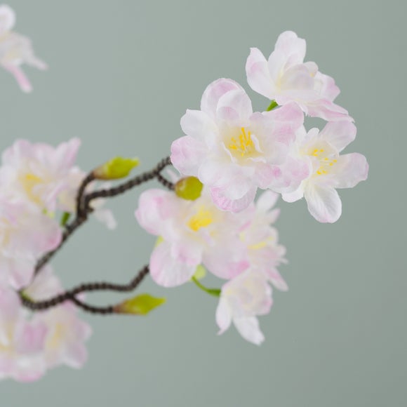 Carousel navigation image position 4 of 6