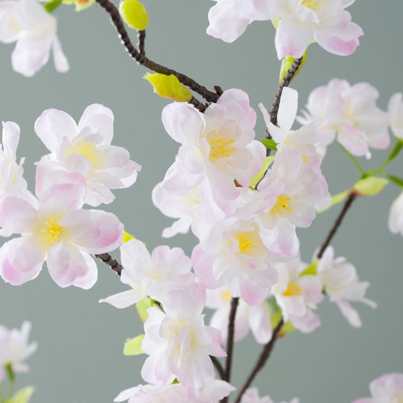 Carousel navigation image position 5 of 6