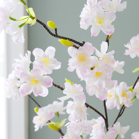 Carousel navigation image position 6 of 6