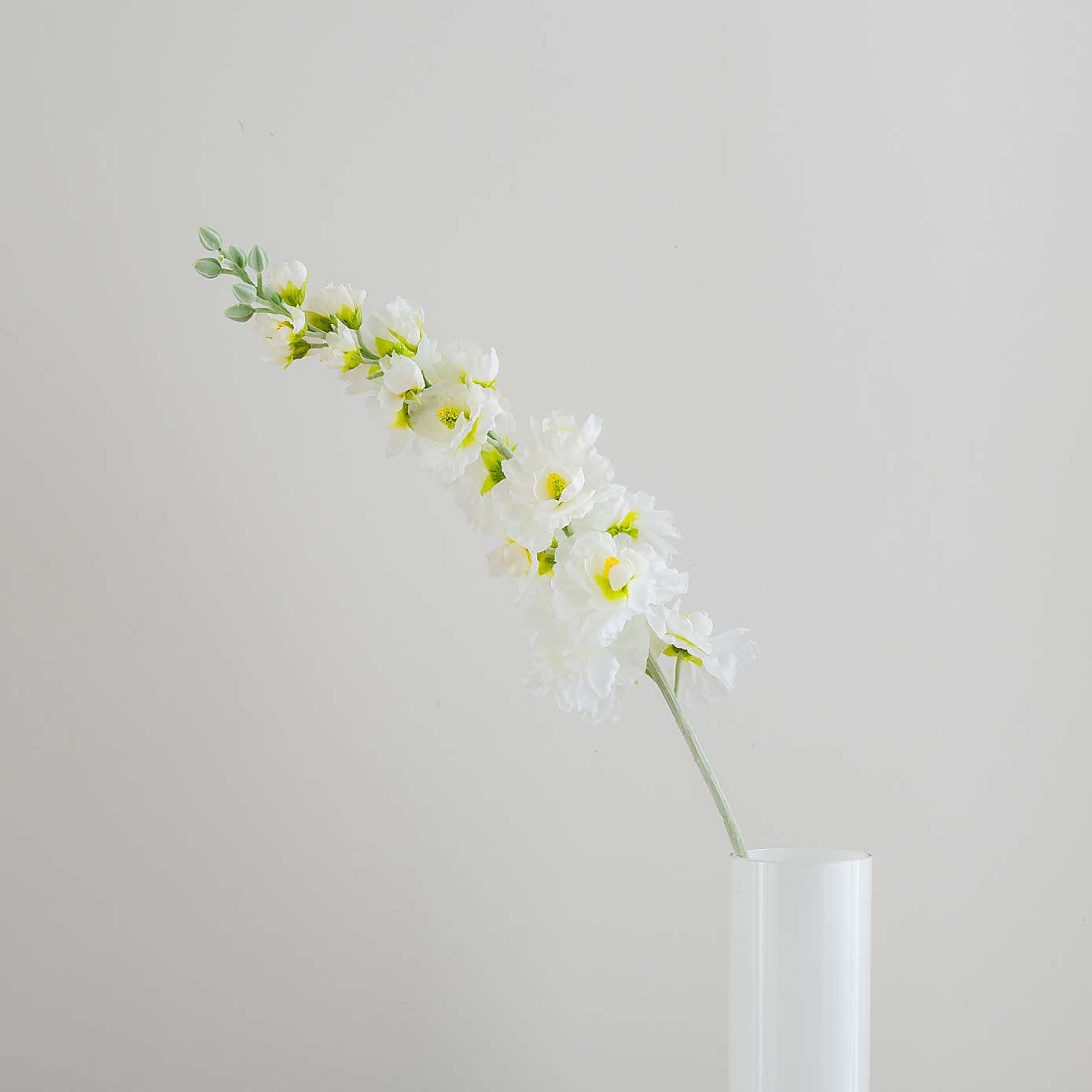 Carousel zoom image position 2 of 5