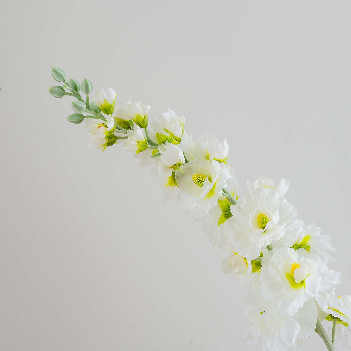 Carousel zoom image position 4 of 5