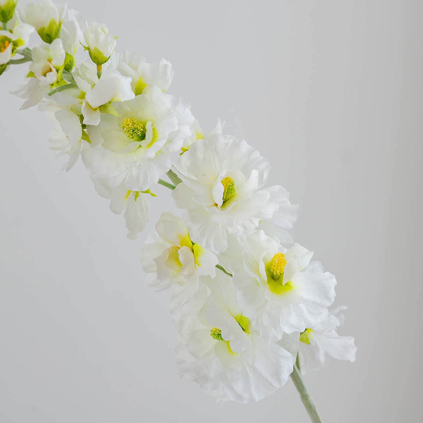 Carousel zoom image position 5 of 5