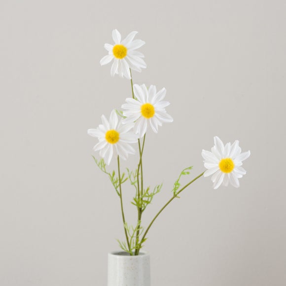 Carousel navigation image position 3 of 5