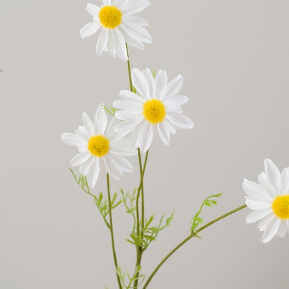 Carousel navigation image position 4 of 5