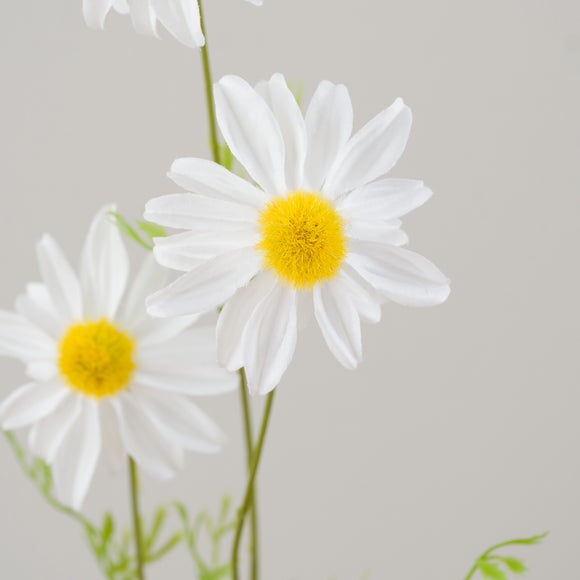 Carousel navigation image position 5 of 5