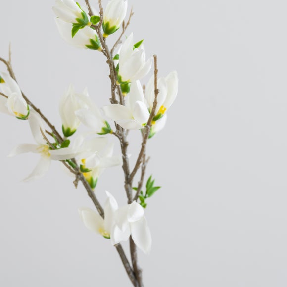 Carousel navigation image position 5 of 6